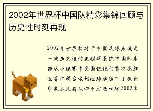 2002年世界杯中国队精彩集锦回顾与历史性时刻再现